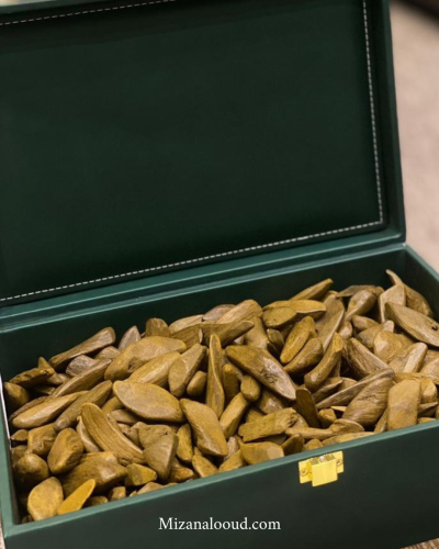 عود مروكي محسن كسر ذهبية