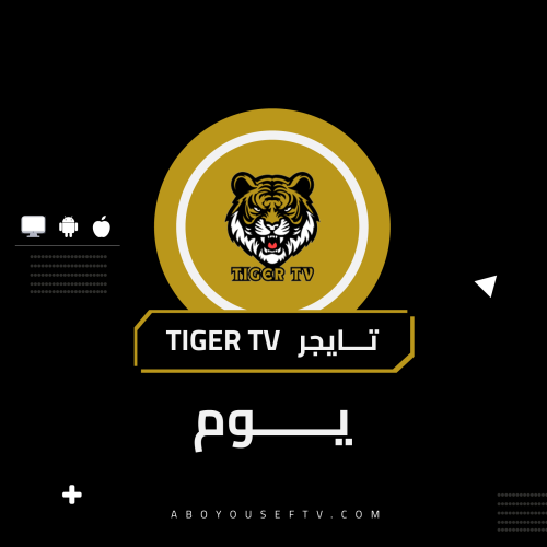 اشتراك تايجر 12 ساعة