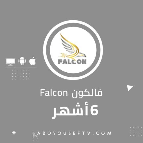 اشتراك فالكون 6 اشهر