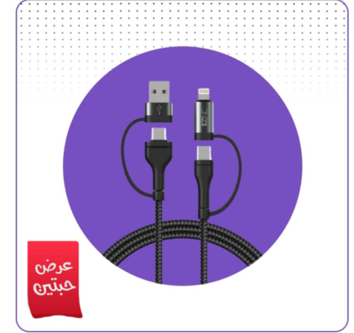 كيبل متعدد الاستخدام 4 في 1 اسود 120 واط IZNC C100