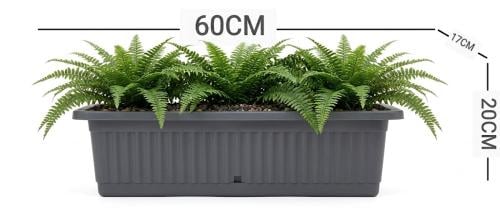 حوض مستطيل 60* 20