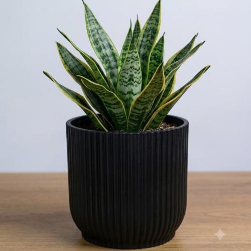 حوض مسطر 30 سم