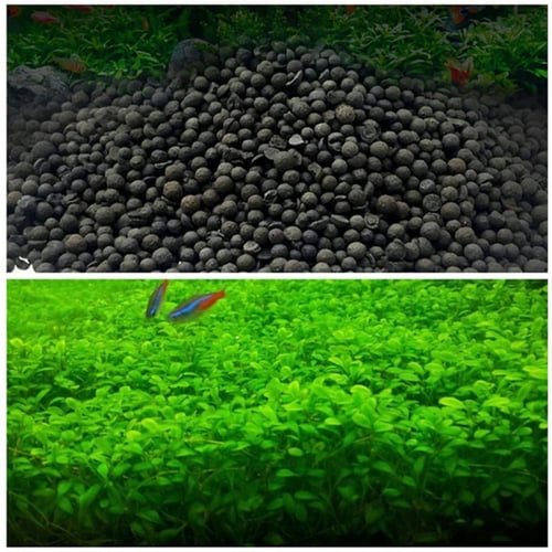 تربة احواض السمك البركانية الطبيعية لزراعة احواض ا...