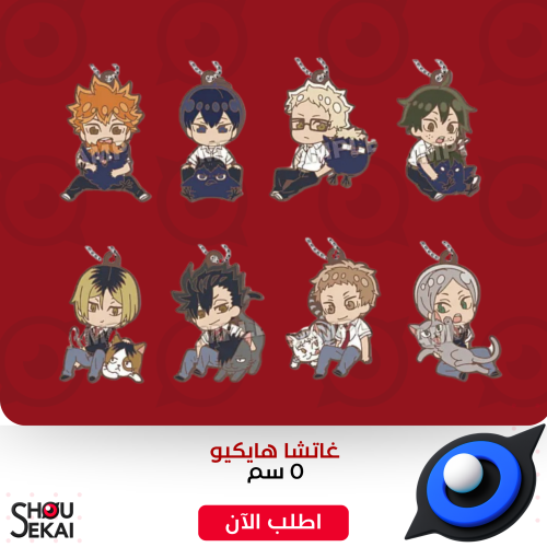 Haikyuu - Rubber Keychain Gacha By Luck