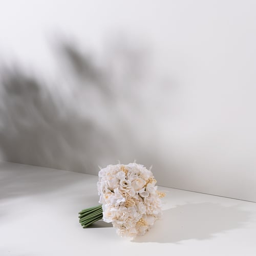 OW005