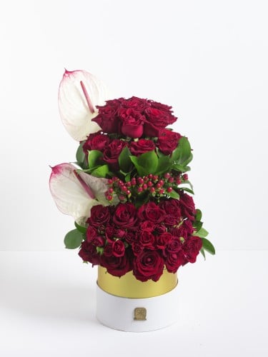 طبقات الورد الأحمر