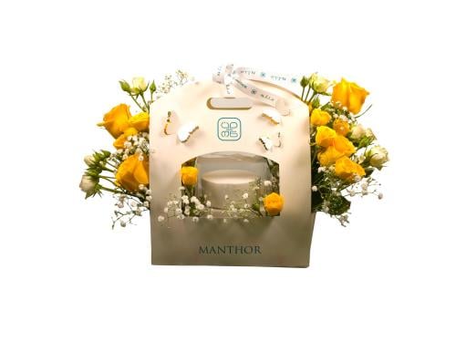 فراشة منثور الصفراء