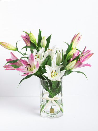 فازة ليليوم منثور