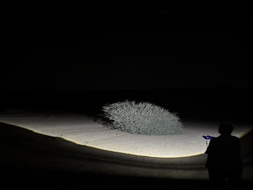 كشاف سوبر بلاك الأصلي