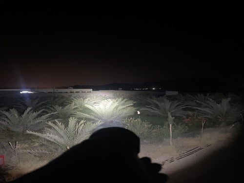 كشاف الصحراء