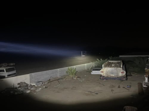 كشاف الصحراء