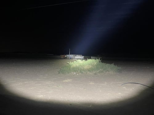 كشاف الصحراء