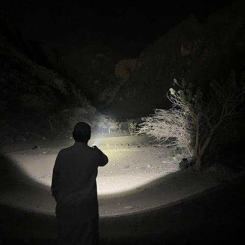 كشاف سفاري M550