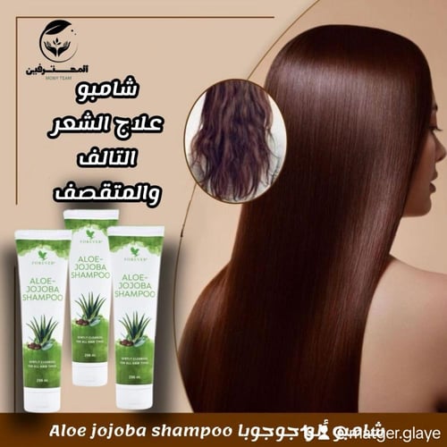 ألو جوجوبا شامبو