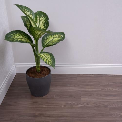 باركيه باتيل-2501-صيني