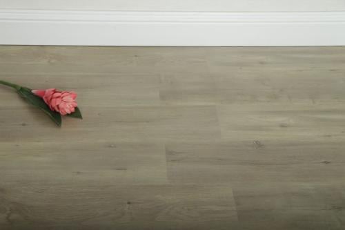 باركيه اليغانس-ELE 1810-صيني