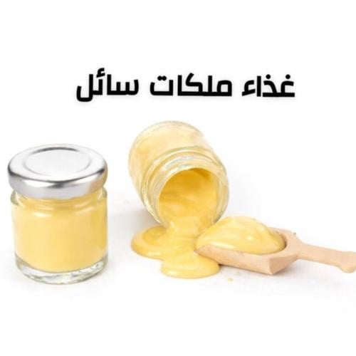 غذاء ملكات سائل - Royal Jelly
