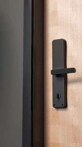 مقبض باب ذكي من بلاتين - LOZAN