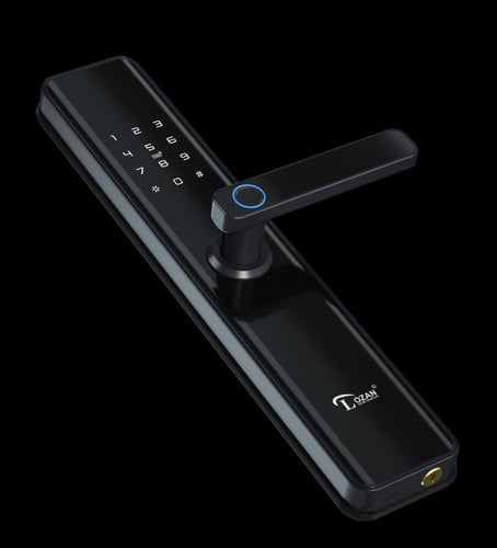 مقبض باب ذكي من بلاتين - LOZAN