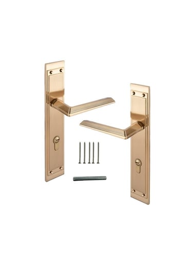 مقبض باب بليت زنك - LOZAN