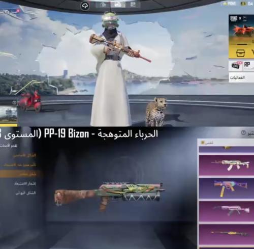حساب ببجي عالمي رقم 8