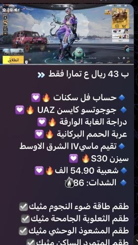 حساب ببجي عالمي رقم 13