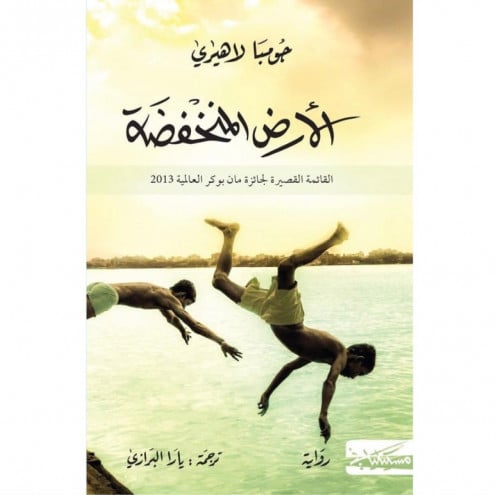 الأرض المنخفضة