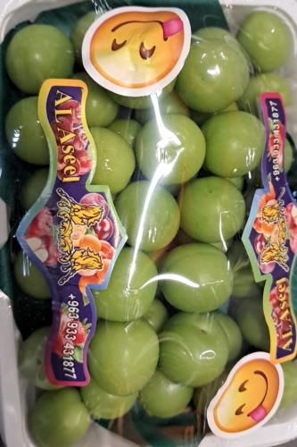 جارينك سوري صحن