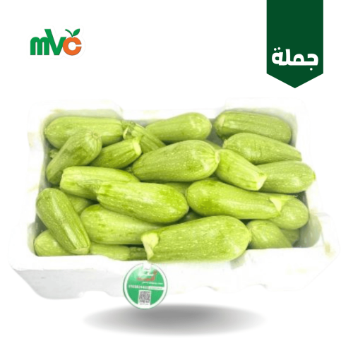 كوسة بلدي محشي /فلين