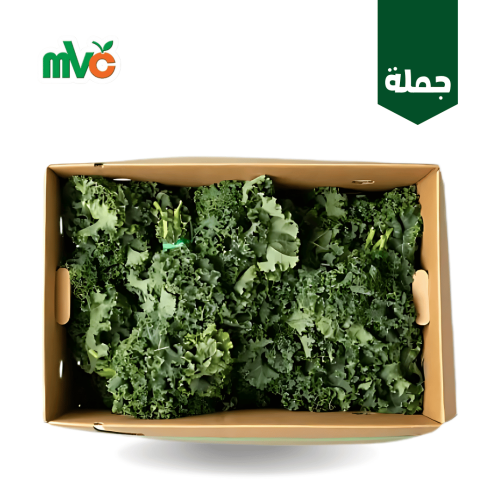 كيل اخضر مجعد /كرتون