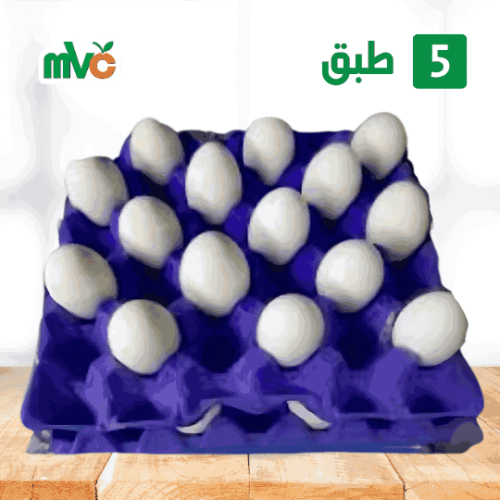 5 طبق بيض صفارين حجم جامبو مميز