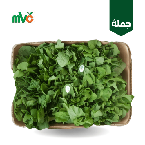 جرجير /كرتون 20 حبة