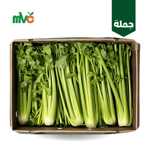 كرفس سلري /كرتون