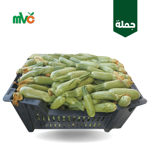 كوسة بلدي محشي /سلة