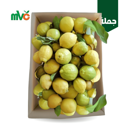 ليمون بلدي نجران /كرتون