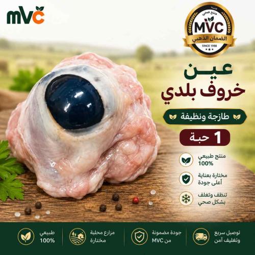 عين خروف بلدي