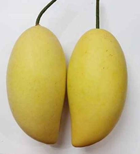 مانجو تايلندية 2حبة