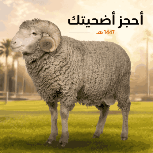 أضحية مستوردة