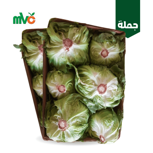 خس مدور بلدي /صندوق