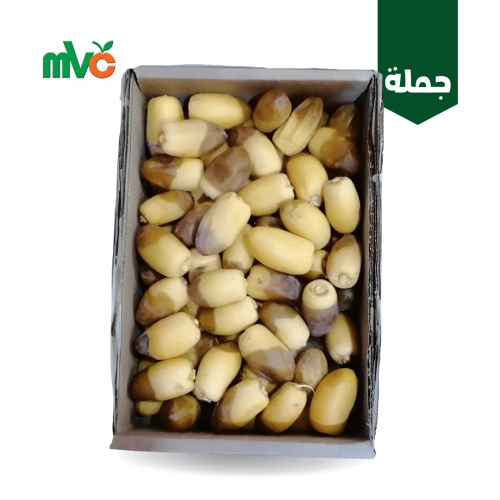 ٣ صندوق رطب غر حساوي كرتون