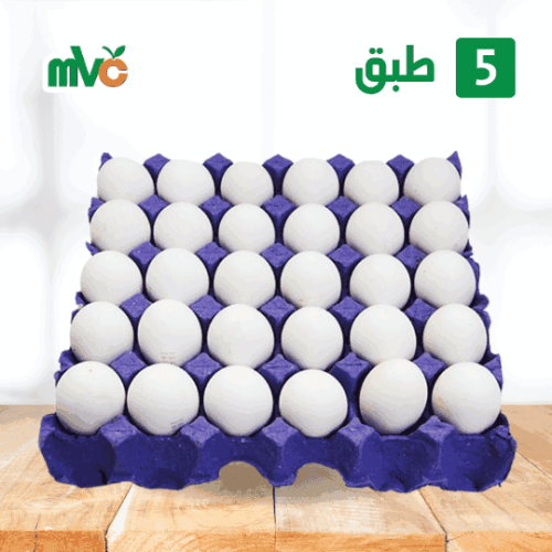 5 طبق بيض حجم كبير