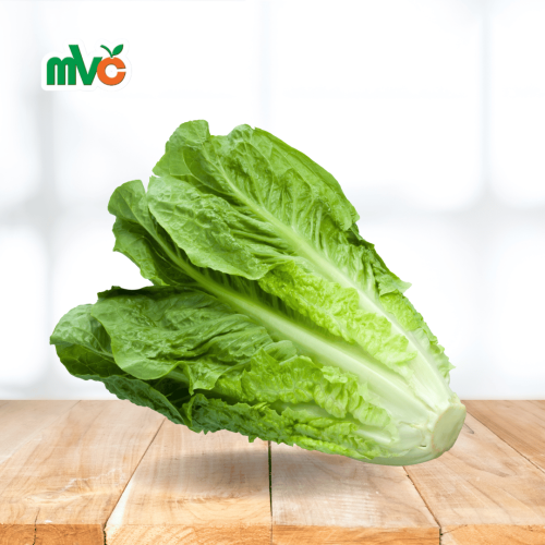 خس طويل بلدي 1 حبة