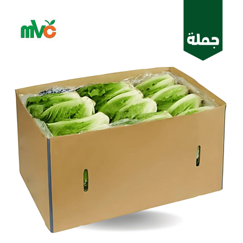 خس طويل بلدي/كرتون