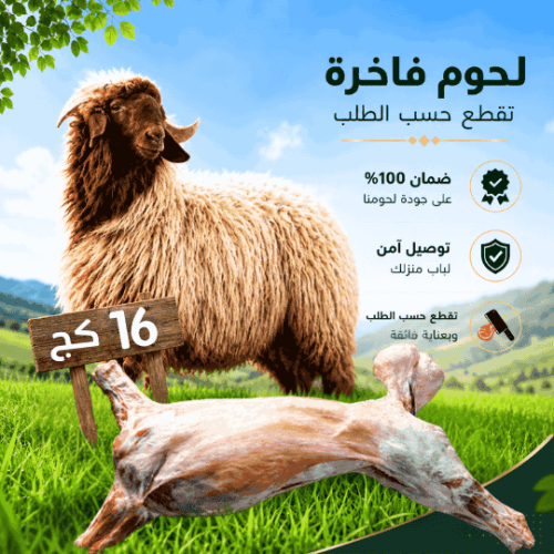 خروف نعيمي بلدي مذبوح 16 كغ