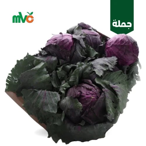 ملفوف احمر /كرتون