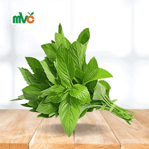 نعناع الخرج 10 ربطة