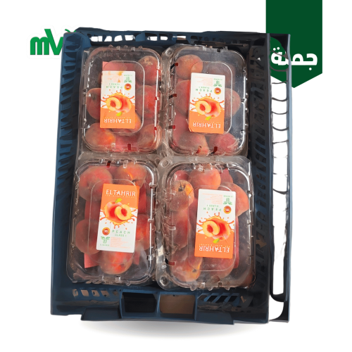 دراق مصري مدور /كرتون