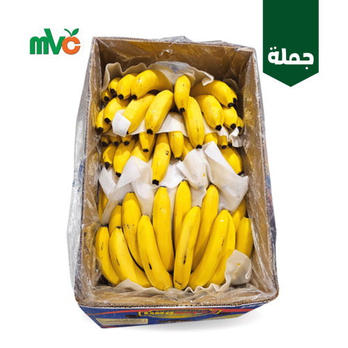 موز /كرتون كبير