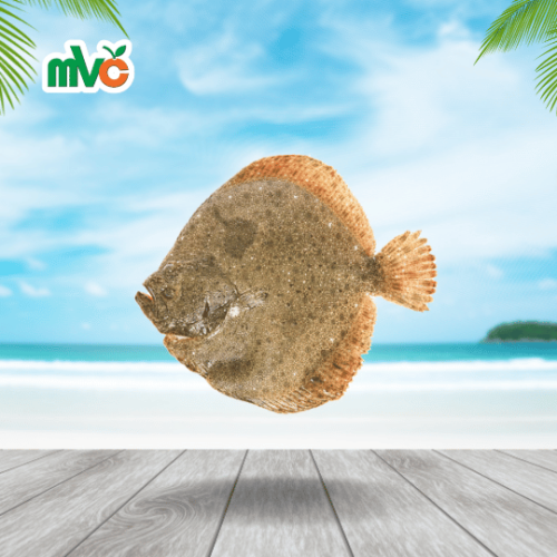 سمكة موسى محلي نصف كيلو