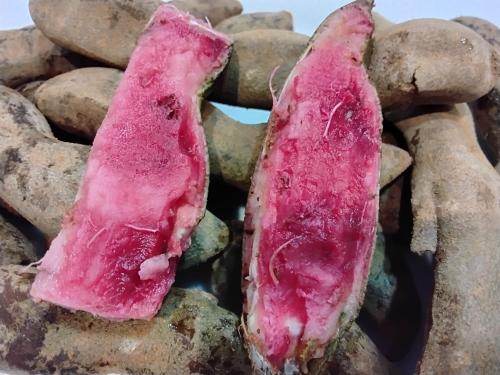 تمر هندي اخضر بديل الجارينك ربع كيلو